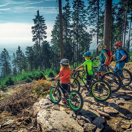 Ski Villa Rubicon Loučná pod Klínovcem Eksteriør bilde